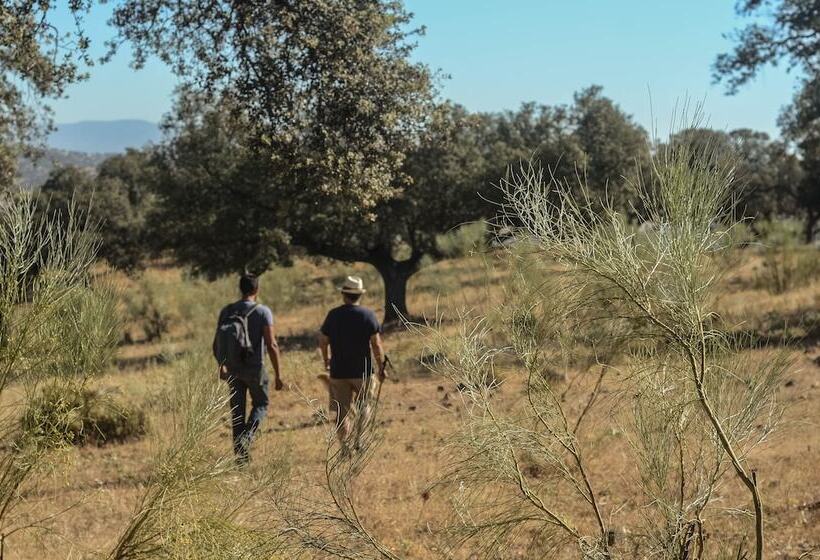 בית מלון כפרי La Dehesa De Don Pedro