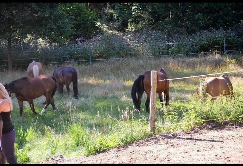Отель Reiterhof Finkenmühle Fewo Balou