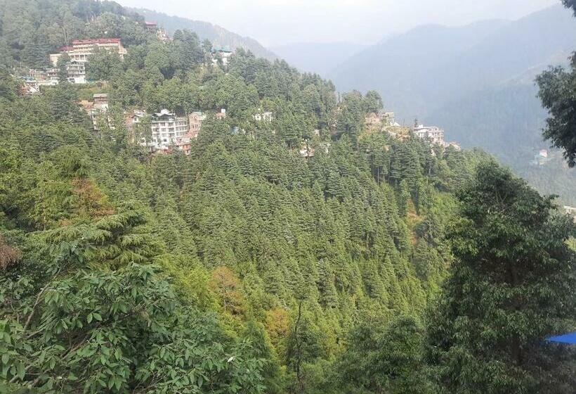 بنسيون Arti Guest House