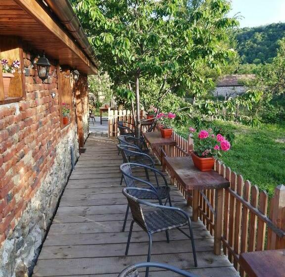 Пансион Borlova /muntele Mic