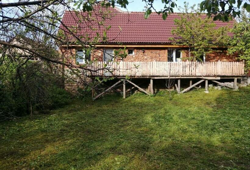 Пансион Borlova /muntele Mic