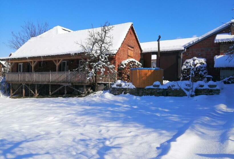 Пансион Borlova /muntele Mic