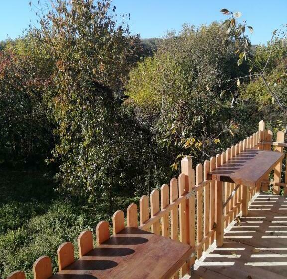 Пансион Borlova /muntele Mic