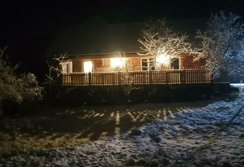 Пансион Borlova /muntele Mic