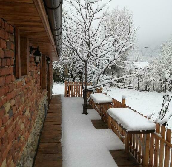 Пансион Borlova /muntele Mic