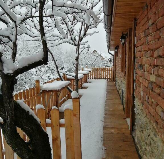 Пансион Borlova /muntele Mic