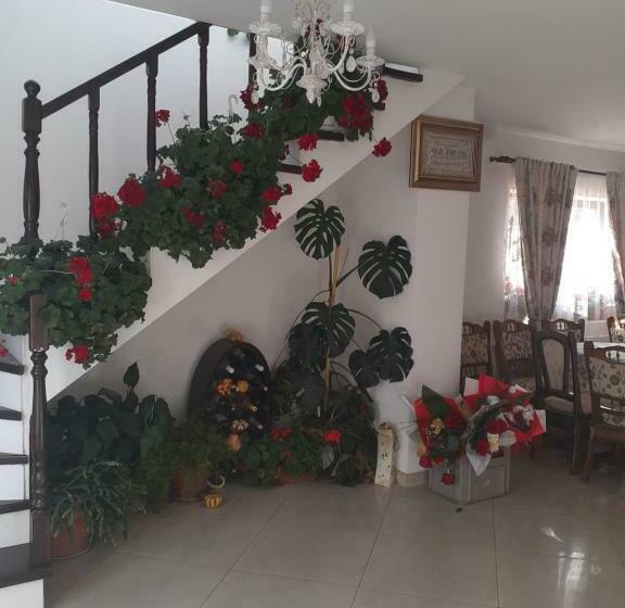 بنسيون Casa Bozai