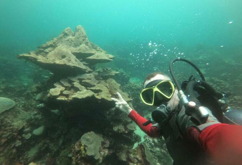 פנסיון Hostel Villa Luz Beach