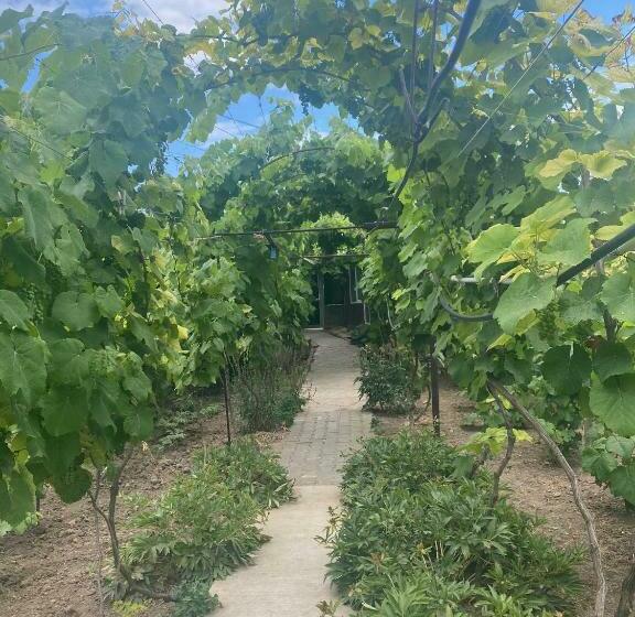 بنسيون La Cici Si Victor