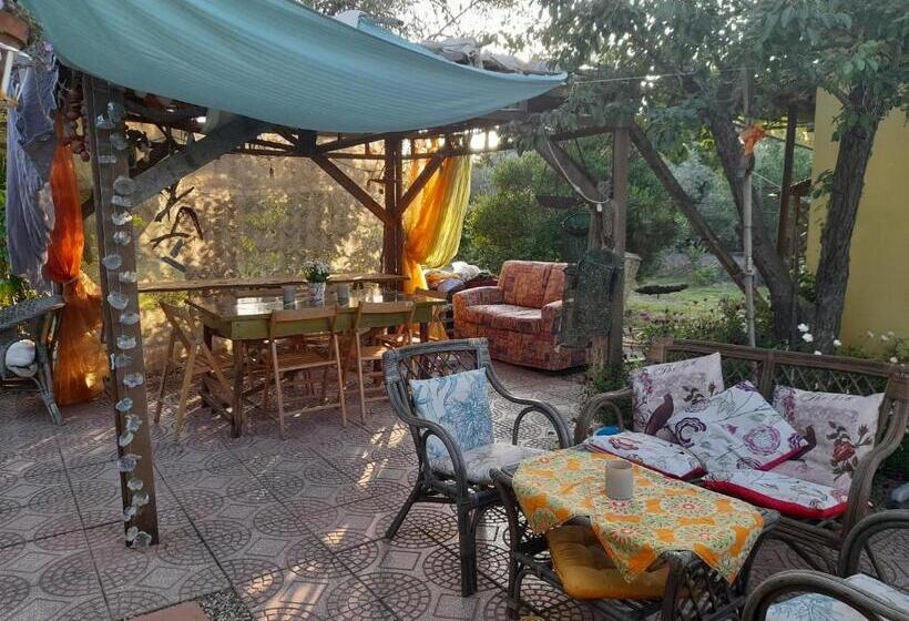 膳宿费 La Restanza