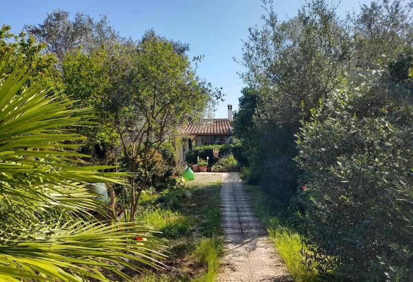 膳宿费 La Restanza