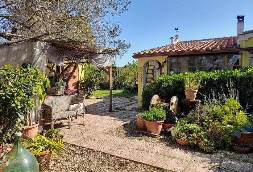 膳宿费 La Restanza