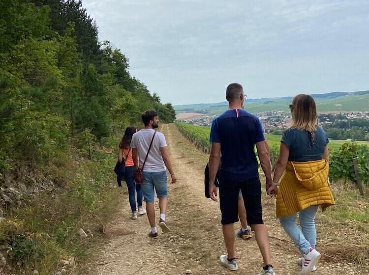 פנסיון Appartements Domaine Gueguen Chablis