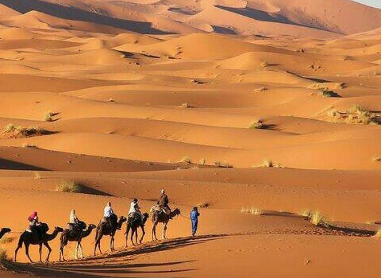 住宿加早餐 Best Desert Luxury Camp