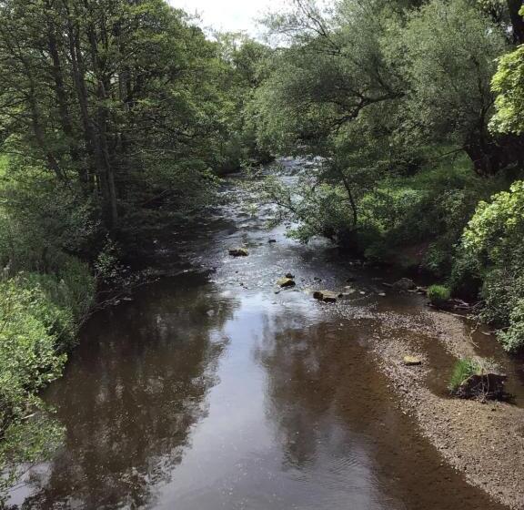 צימר The Board Inn   Lealholm
