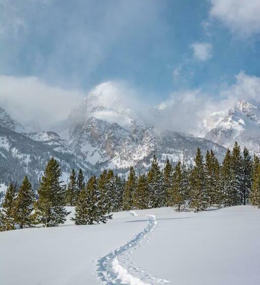 فندق Teton Cabins