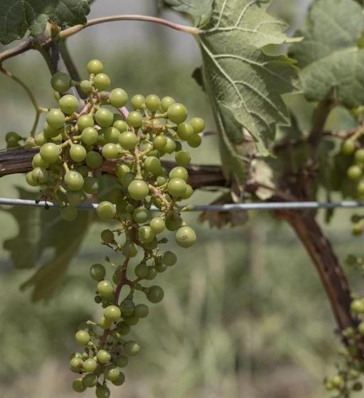 فندق Tierra Maria