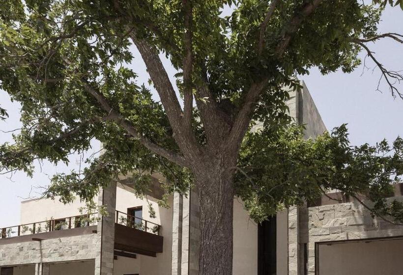 فندق Tierra Maria