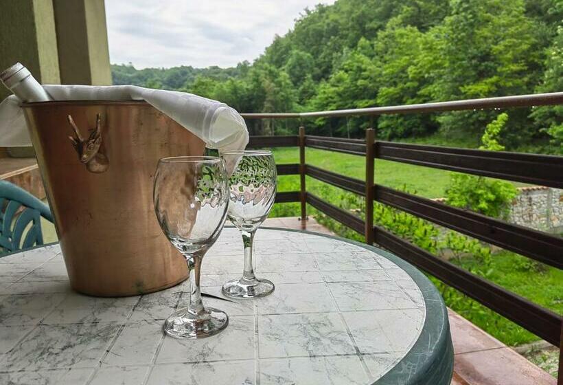 Пансион комплекс сборяна