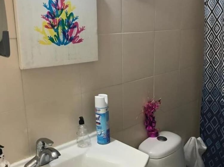 ペンション Cozy Guest House Florida Sunrise