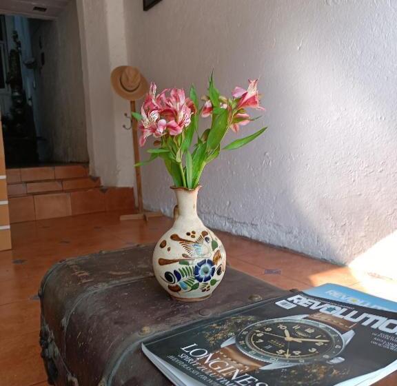 بنسيون Ventuarum