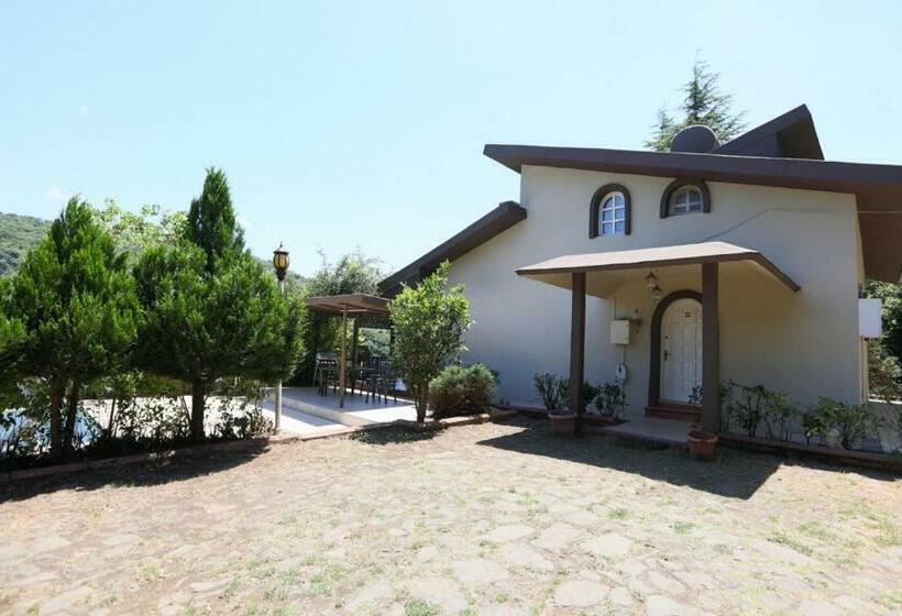 Serene House Surrounded By Nature In Beykoz