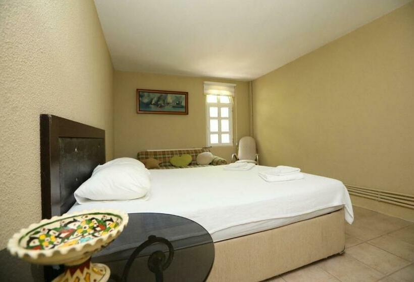 Serene House Surrounded By Nature In Beykoz