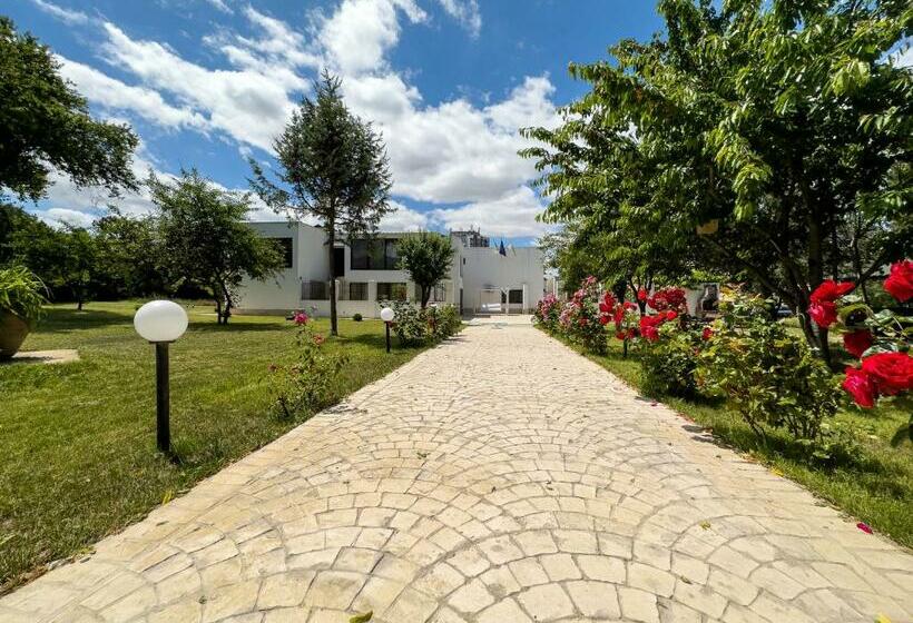 Avenue Venus   Avenue Hotels