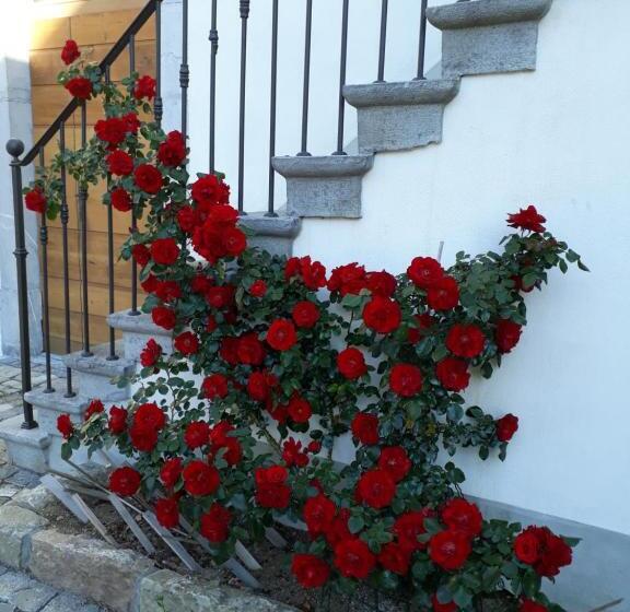 Bed and Breakfast Aux Trois Soleils