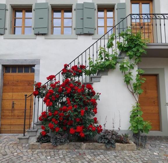 Bed and Breakfast Aux Trois Soleils