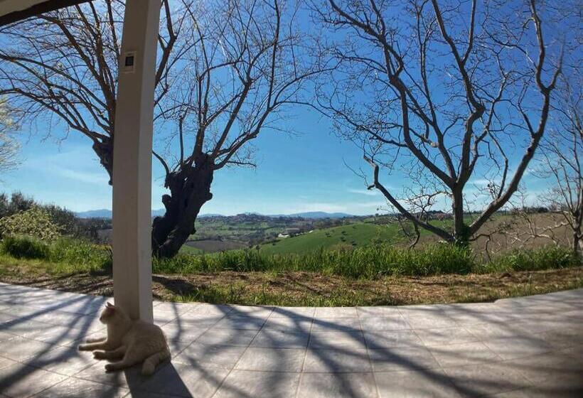 בית מלון כפרי Agriturismo   Apis In Tabula