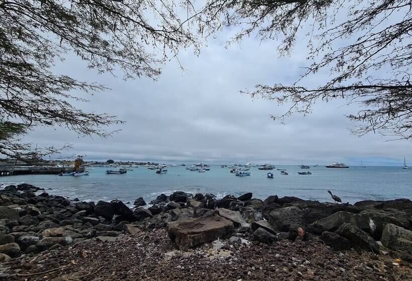 هتل Indigo   Galapagos, An Ihg