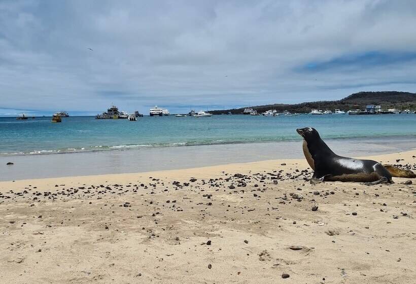 هتل Indigo   Galapagos, An Ihg