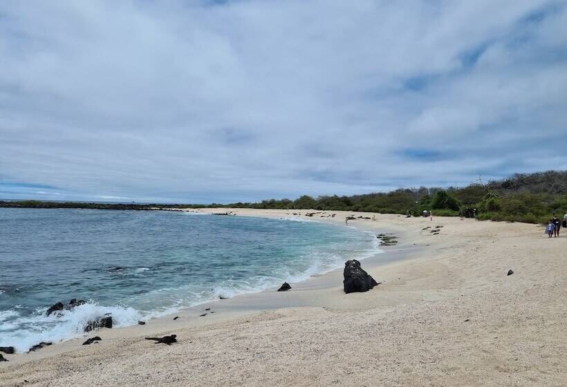 هتل Indigo   Galapagos, An Ihg