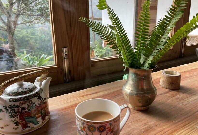 ホテル Miknaon Farm Stay