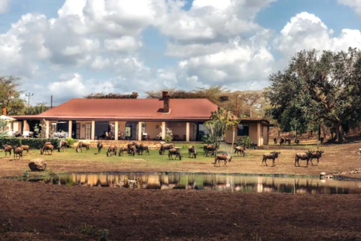 Отель Wildlife Residence