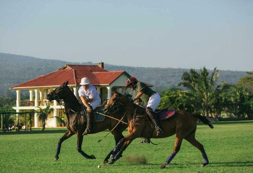 Отель Wildlife Residence