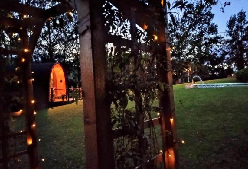 بنسيون Alfaro 95