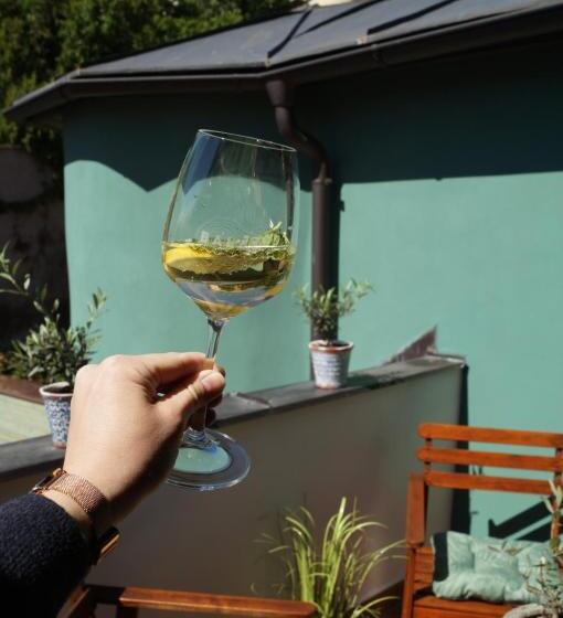 膳宿费 Olivea Penzion & Wine Mikulov