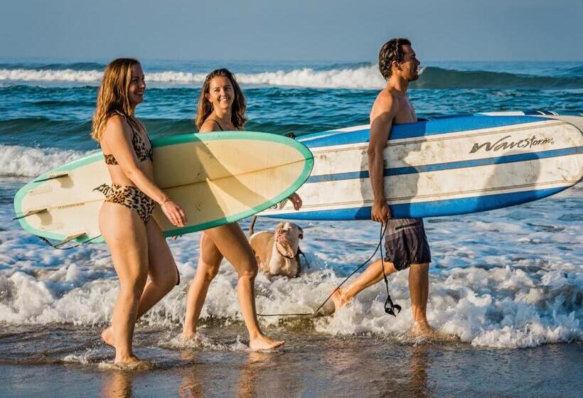 Topia Retreat  Surf Suite Norte