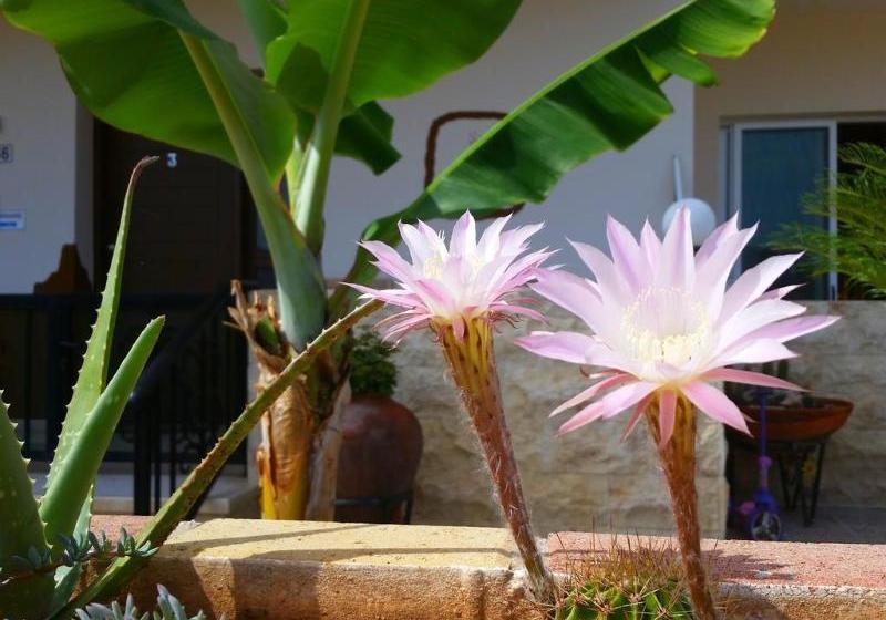 Astrofegia Apartments