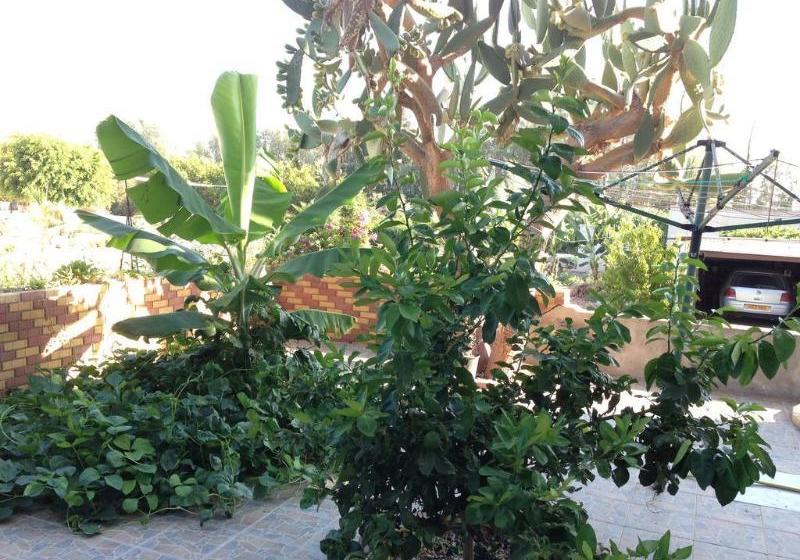 Astrofegia Apartments