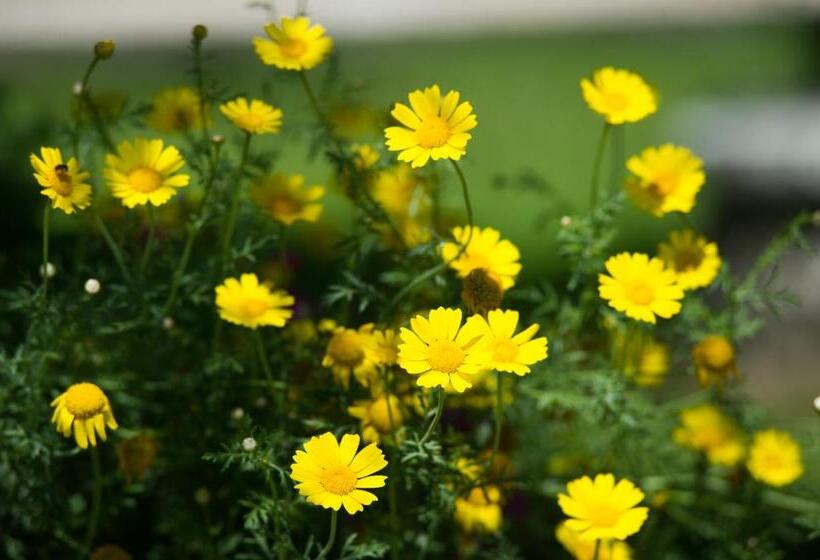 Byzantio Hotel & Apartments