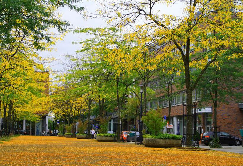 Premier Inn Essen City Limbecker Platz