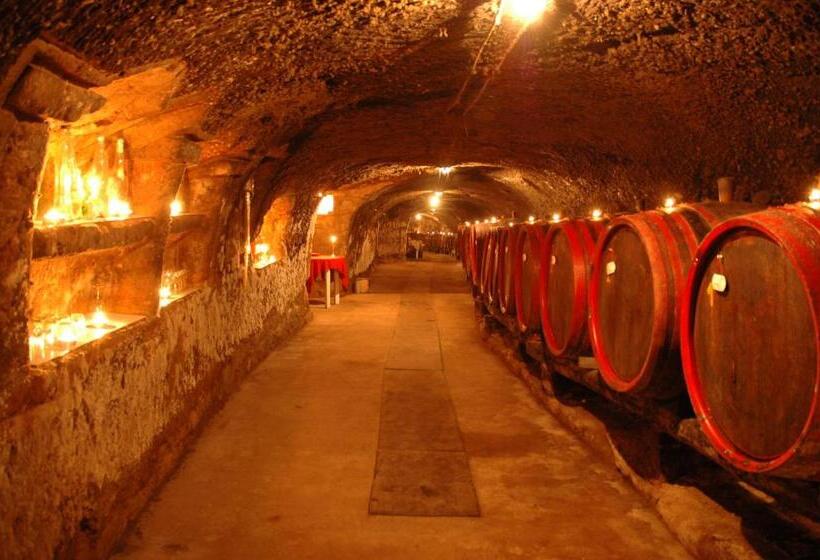 בית מלון כפרי Aranykorona