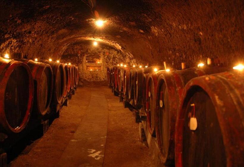 בית מלון כפרי Aranykorona