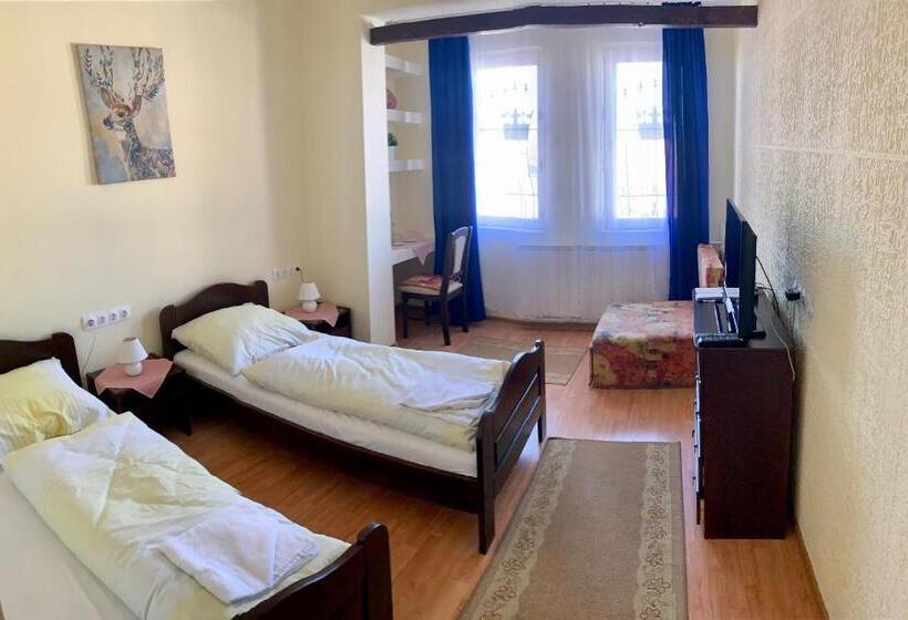 בית מלון כפרי Aranykorona