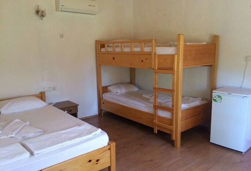 בית מלון כפרי Armina Pension