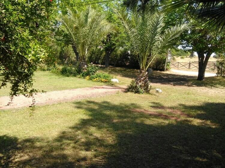 בית מלון כפרי Armina Pension