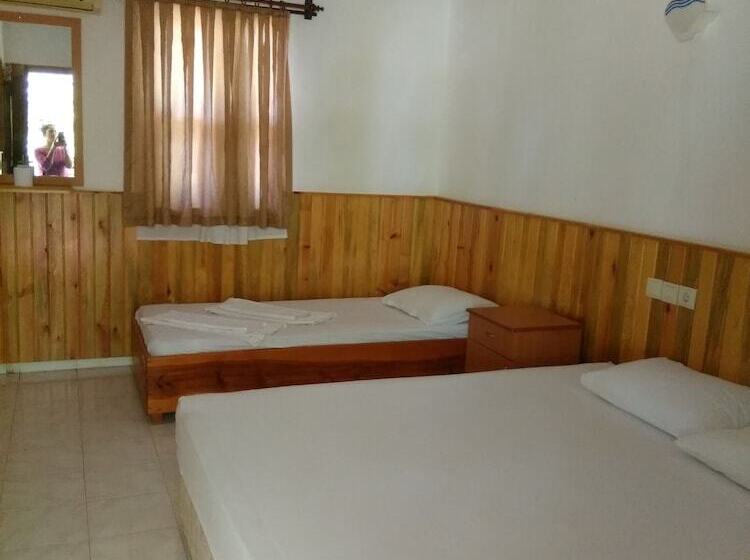 בית מלון כפרי Armina Pension